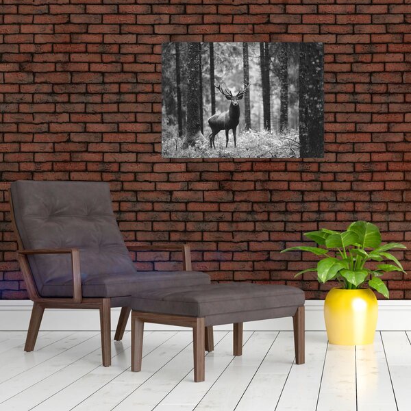 Slika - Jelen u šumi 2, crno-bijela (70x50 cm)