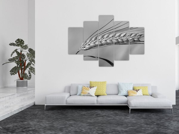 Slika - Pšenica, crno-bijela (150x105 cm)