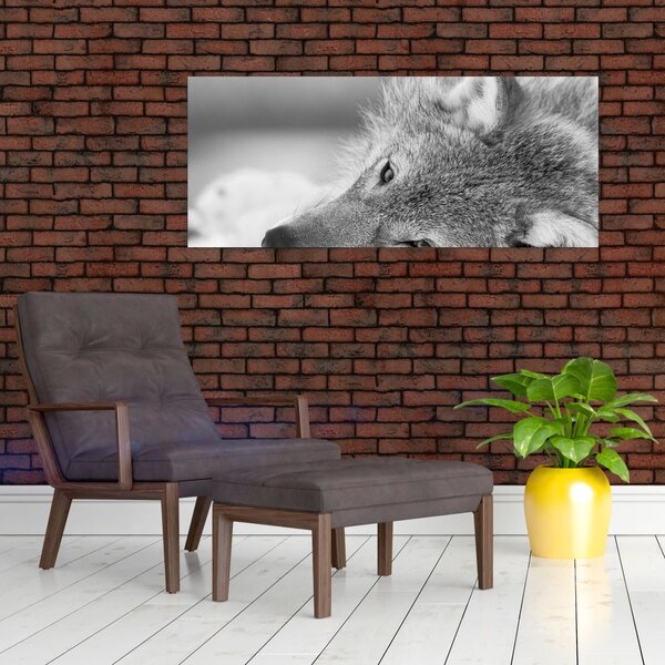Slika - Vuk, crno-bijela (120x50 cm)