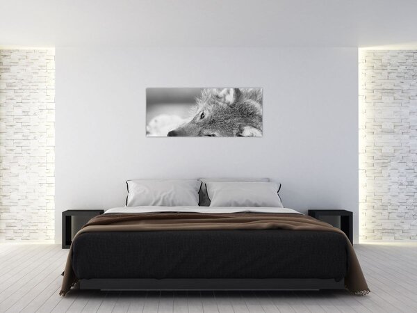 Slika - Vuk, crno-bijela (120x50 cm)