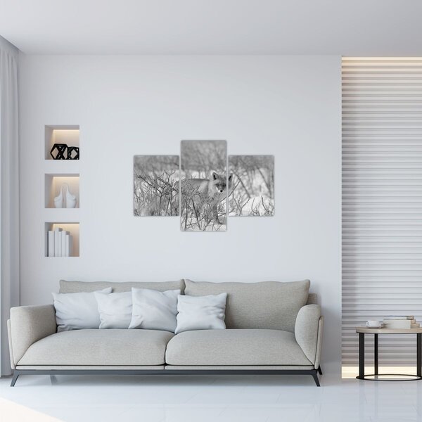 Slika - Lisac, crno-bijela (90x60 cm)