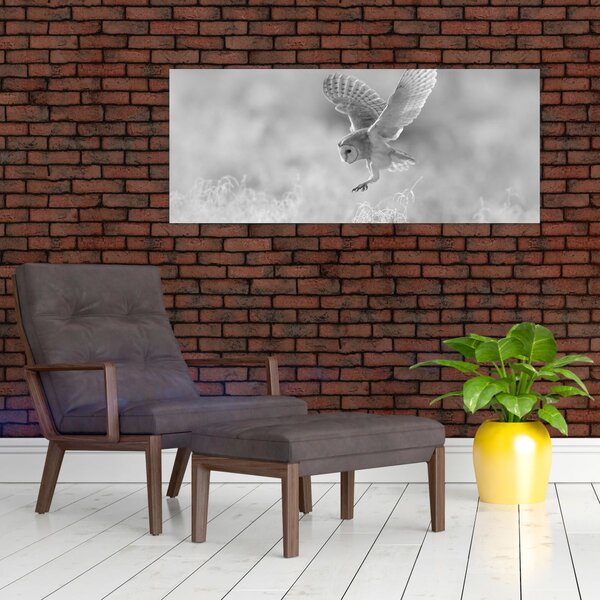 Slika - Sova, crno-bijela (120x50 cm)