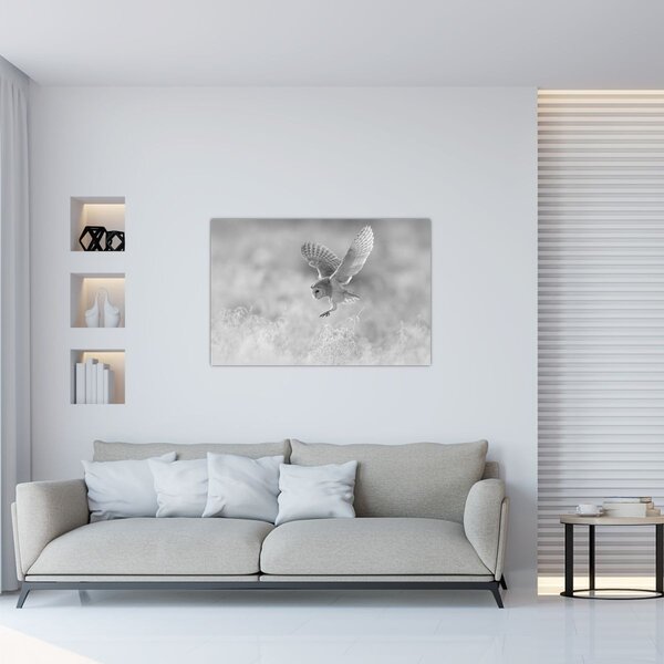 Slika - Sova, crno-bijela (90x60 cm)