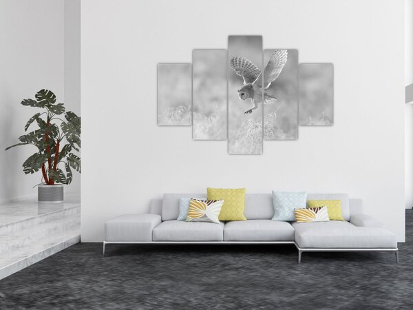 Slika - Sova, crno-bijela (150x105 cm)