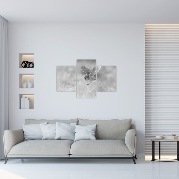 Slika - Sova, crno-bijela (90x60 cm)