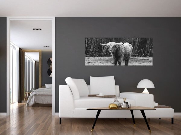 Slika - Škotska krava 3, crno-bijela (120x50 cm)
