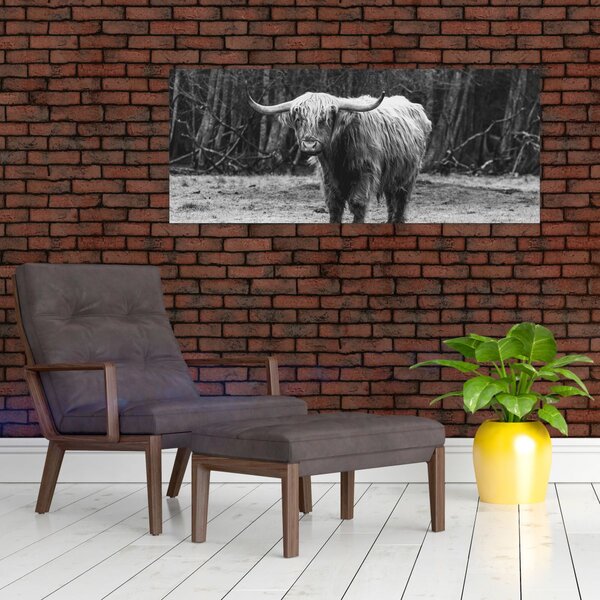 Slika - Škotska krava 3, crno-bijela (120x50 cm)