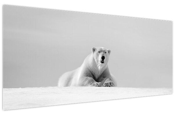 Slika - Polarni medvjed, crno-bijela (120x50 cm)