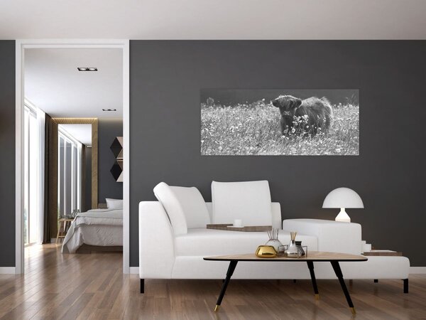 Slika - Škotska krava 5, crno-bijela (120x50 cm)