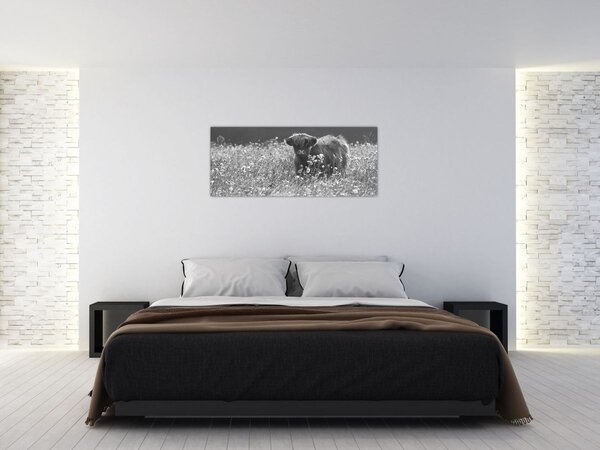 Slika - Škotska krava 5, crno-bijela (120x50 cm)