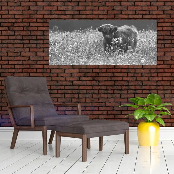 Slika - Škotska krava 5, crno-bijela (120x50 cm)