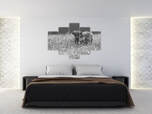 Slika - Škotska krava 5, crno-bijela (150x105 cm)