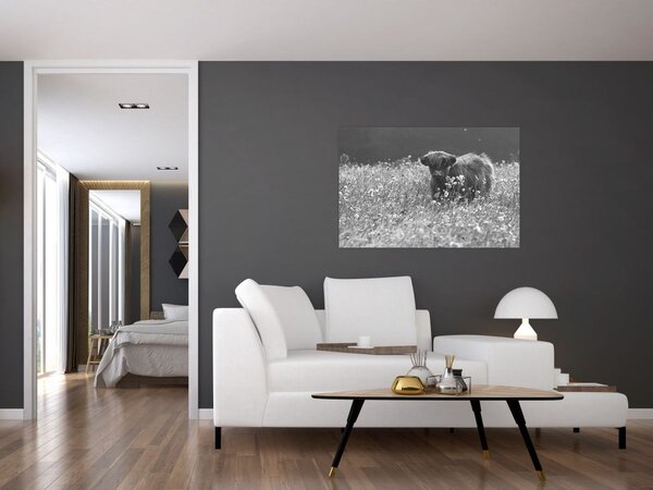 Slika - Škotska krava 5, crno-bijela (90x60 cm)
