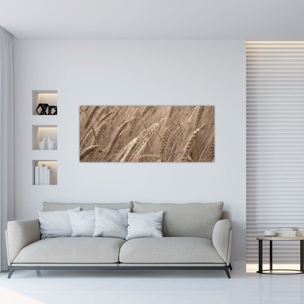 Slika - Zlatno polje (120x50 cm)