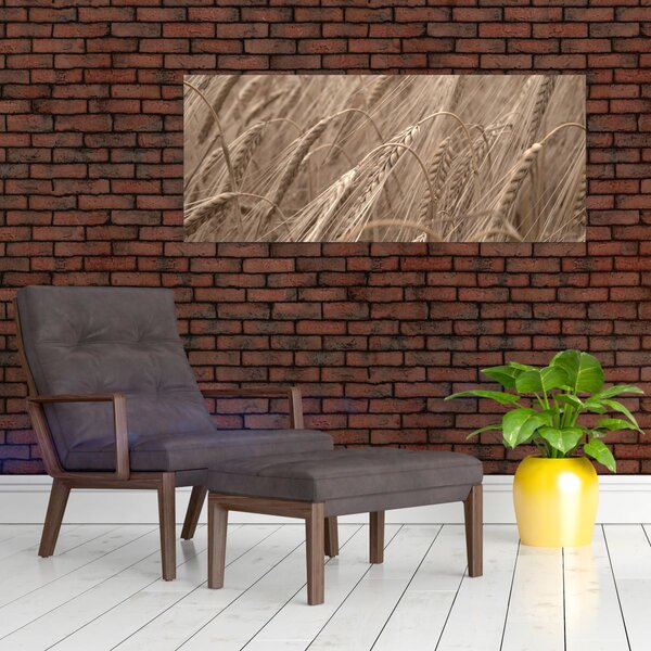 Slika - Zlatno polje (120x50 cm)