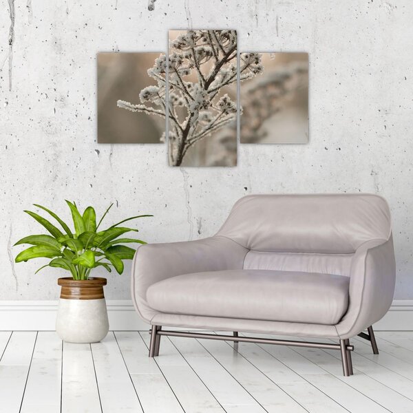 Slika - Biljka u mraz (90x60 cm)