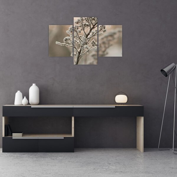 Slika - Biljka u mraz (90x60 cm)