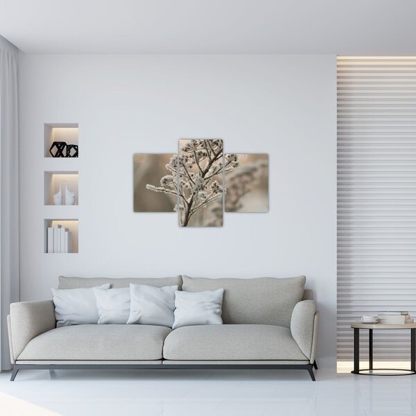 Slika - Biljka u mraz (90x60 cm)