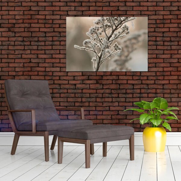 Slika - Biljka u mraz (90x60 cm)