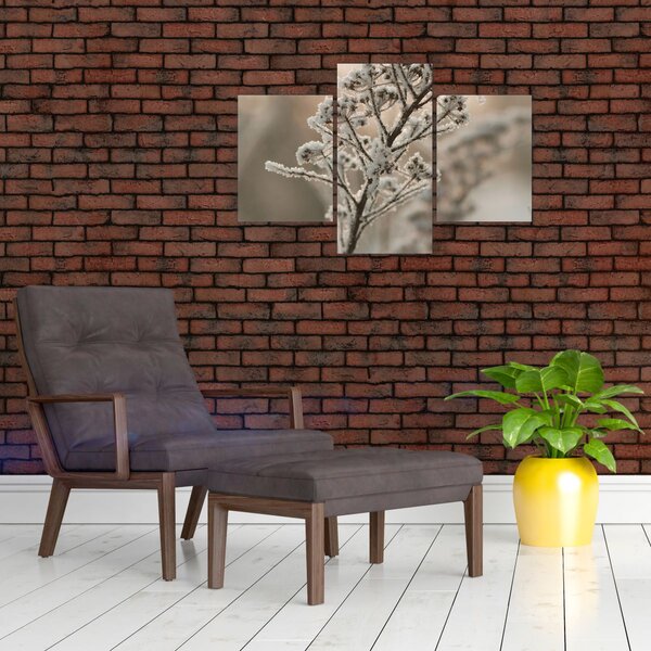 Slika - Biljka u mraz (90x60 cm)