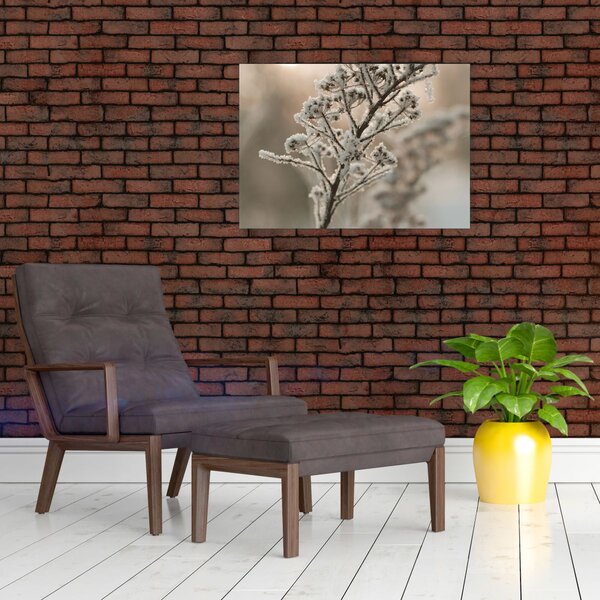 Slika - Biljka u mraz (70x50 cm)