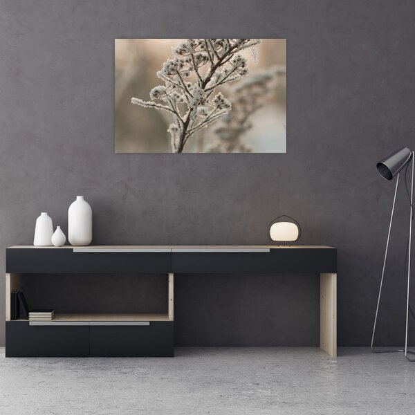 Slika - Biljka u mraz (90x60 cm)