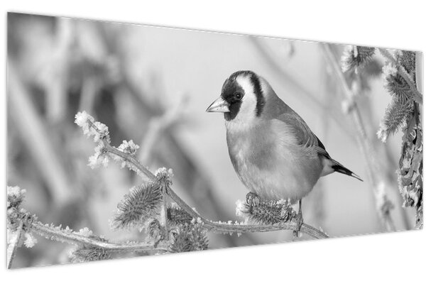 Slika - Ptica zimi (120x50 cm)