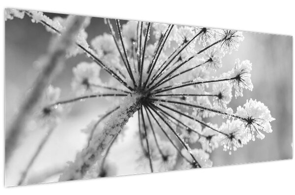Slika - Cvijet zimi (120x50 cm)