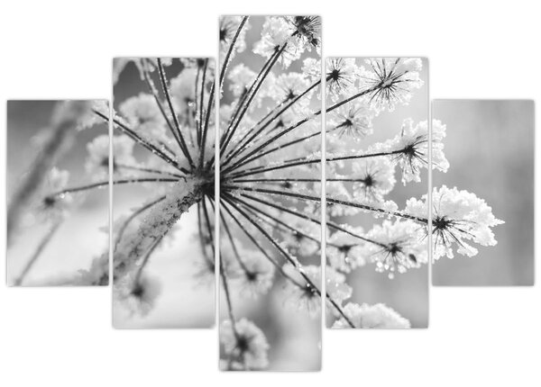 Slika - Cvijet zimi (150x105 cm)