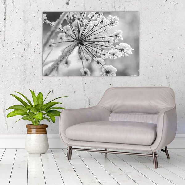 Slika - Cvijet zimi (90x60 cm)