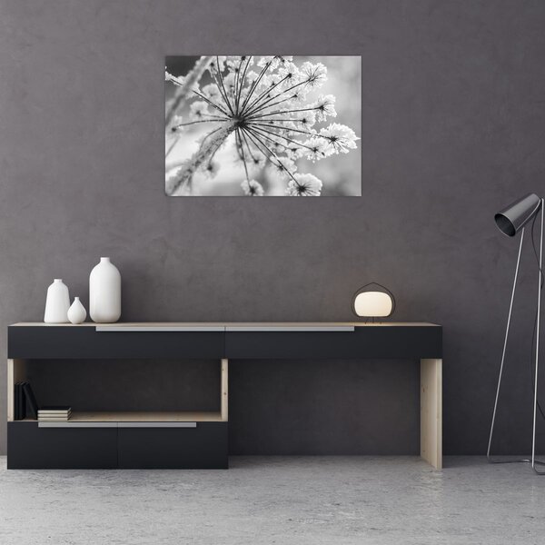 Slika - Cvijet zimi (70x50 cm)