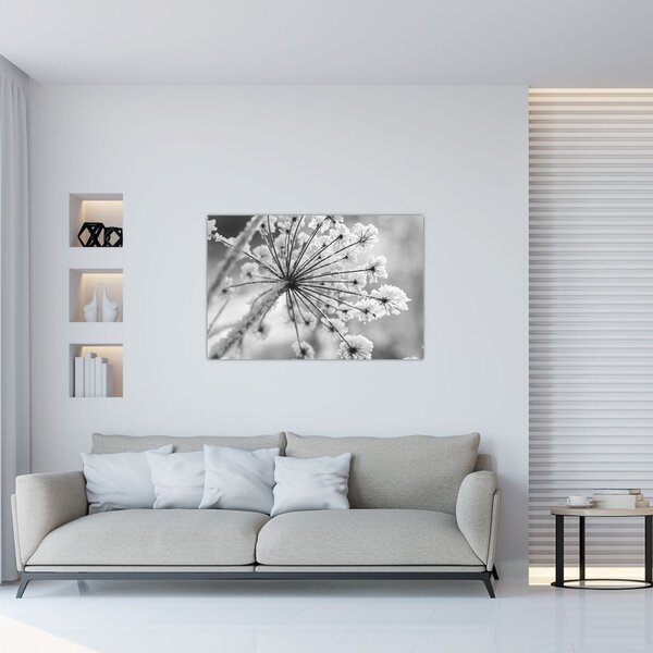 Slika - Cvijet zimi (90x60 cm)