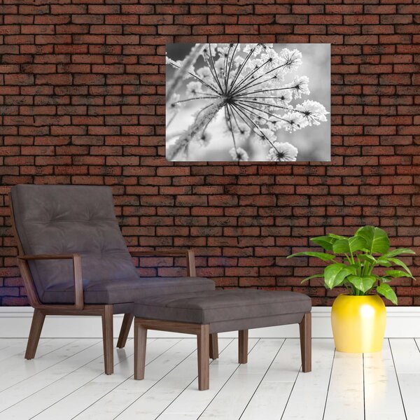 Slika - Cvijet zimi (70x50 cm)