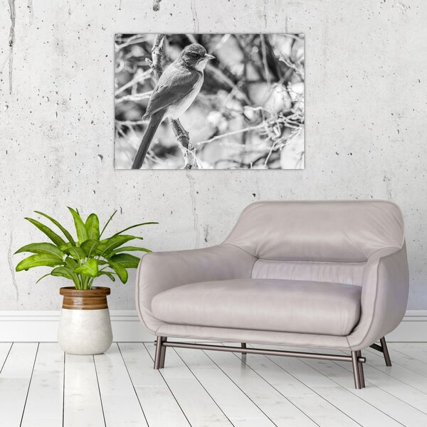 Slika - Plava ptica zimi (70x50 cm)
