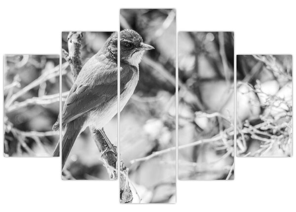 Slika - Plava ptica zimi (150x105 cm)