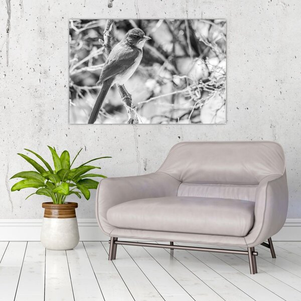 Slika - Plava ptica zimi (90x60 cm)