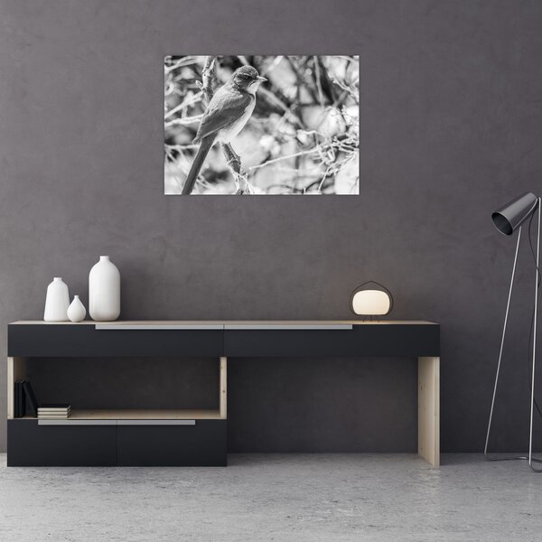 Slika - Plava ptica zimi (70x50 cm)