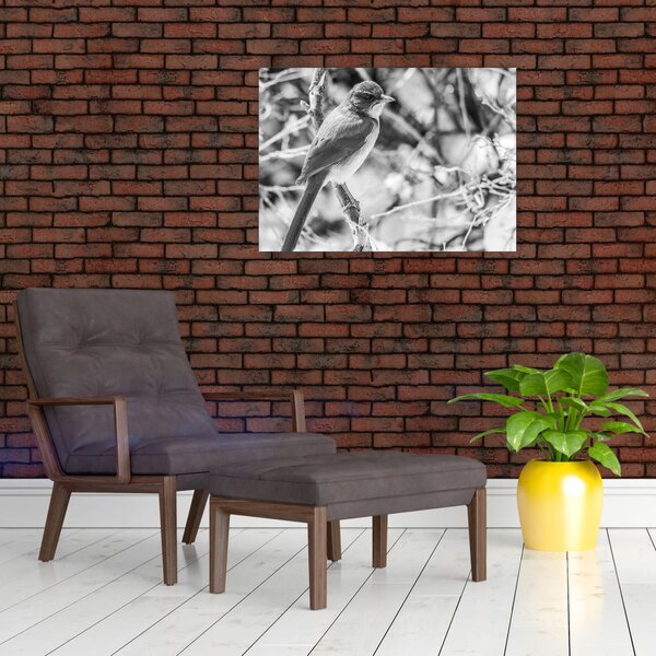 Slika - Plava ptica zimi (70x50 cm)