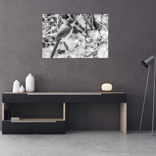 Slika - Plava ptica zimi (90x60 cm)