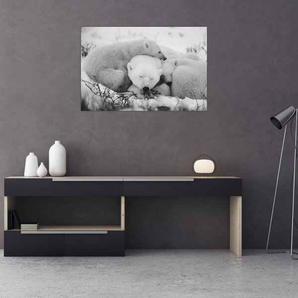 Slika - Polarni medvjedi (90x60 cm)