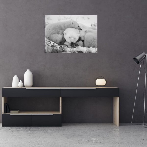 Slika - Polarni medvjedi (70x50 cm)