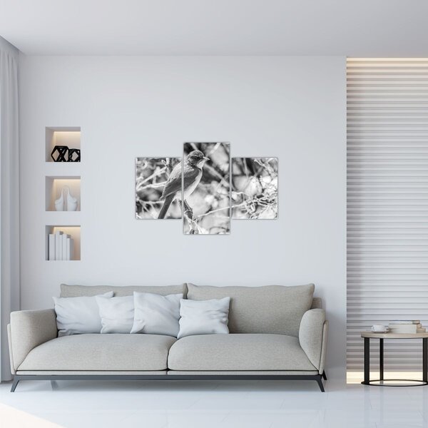 Slika - Plava ptica zimi (90x60 cm)
