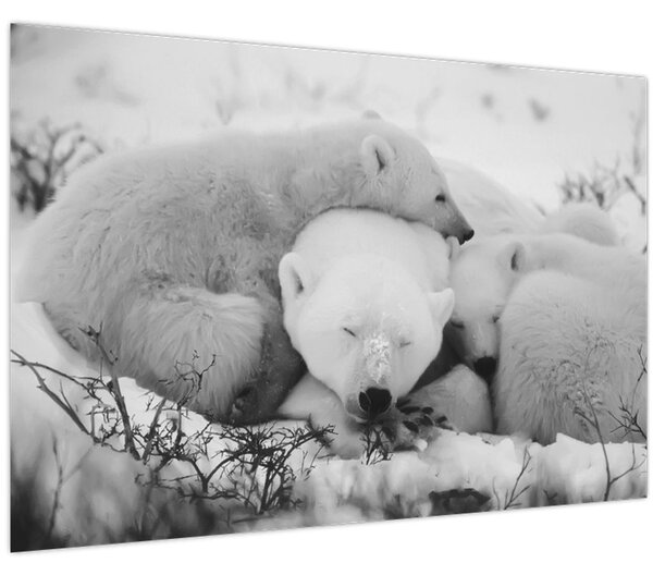 Slika - Polarni medvjedi (90x60 cm)
