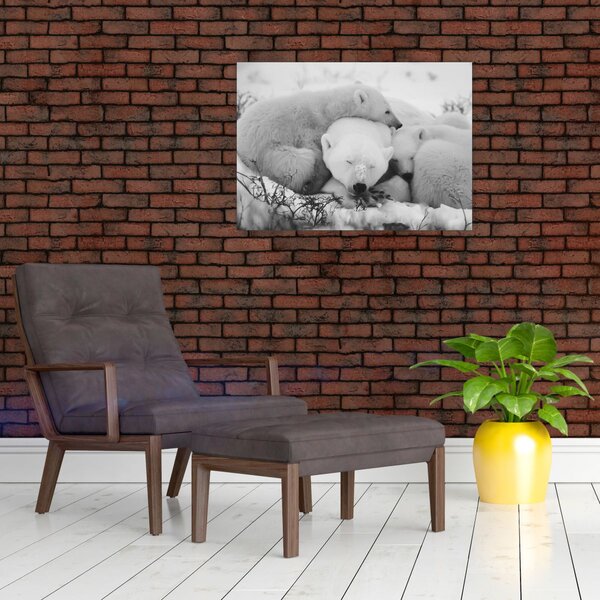 Slika - Polarni medvjedi (70x50 cm)