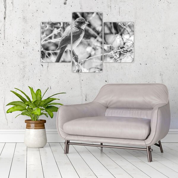 Slika - Plava ptica zimi (90x60 cm)