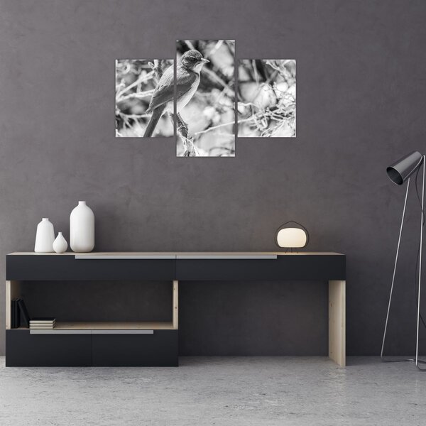 Slika - Plava ptica zimi (90x60 cm)