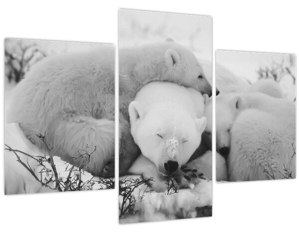 Slika - Polarni medvjedi (90x60 cm)
