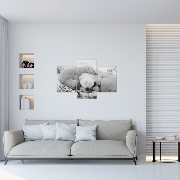 Slika - Polarni medvjedi (90x60 cm)