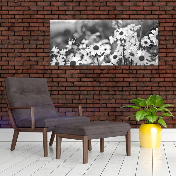 Slika - tratinčice (120x50 cm)