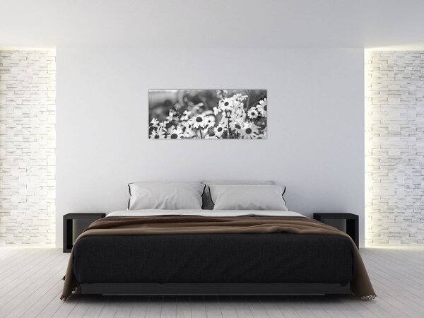 Slika - tratinčice (120x50 cm)